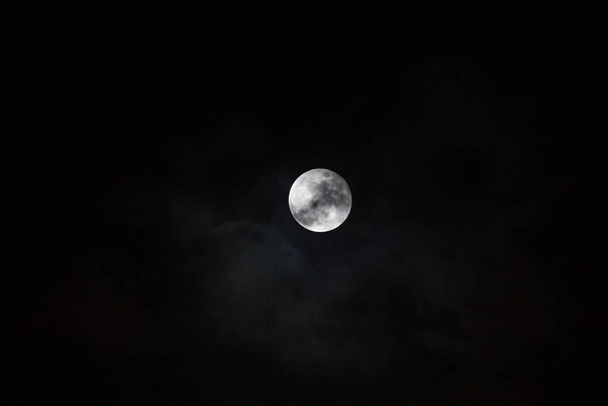 Une grande nuit de pleine lune. - Photo, image