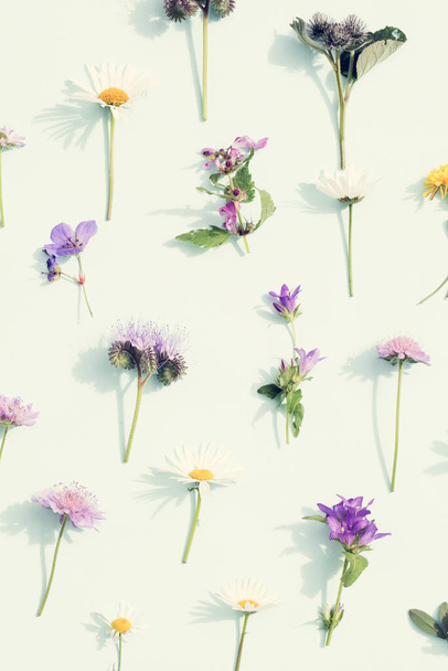 Творческий макет из летних полевых цветов с глубокими тенями на голубом фоне. Природа. Минимальный узор сезона. - Фото, изображение