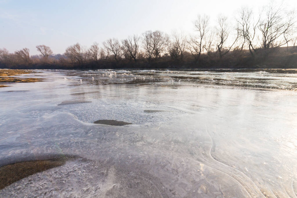 Soğuk bir kış sabahı, vahşi bir nehir kıyısında, kar ve donla - Fotoğraf, Görsel
