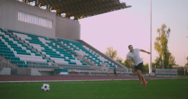 芝生の上でサッカーボールを設定し、緑の芝生でスタジアムでボールを打つ。プロのサッカー選手がスローモーションでボールをキック - 映像、動画