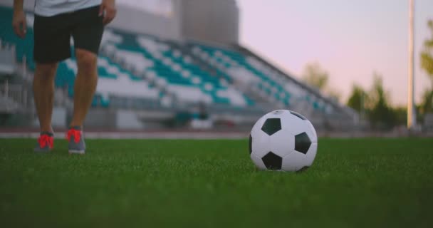 Establecer la pelota de fútbol en la carrera de césped y golpear la pelota en el estadio con un césped verde. Un futbolista profesional patea la pelota en cámara lenta - Imágenes, Vídeo