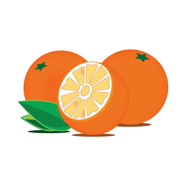 Organic orange fruit isolatad on white background. Tropical fruit. Vitamin. Vector - Διάνυσμα, εικόνα