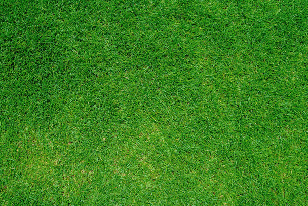 Green grass texture background, Top view of grass garden Ideal concept used for making green flooring, lawn for training football pitch, Grass Golf Courses green lawn pattern textured background. - Photo, Image
