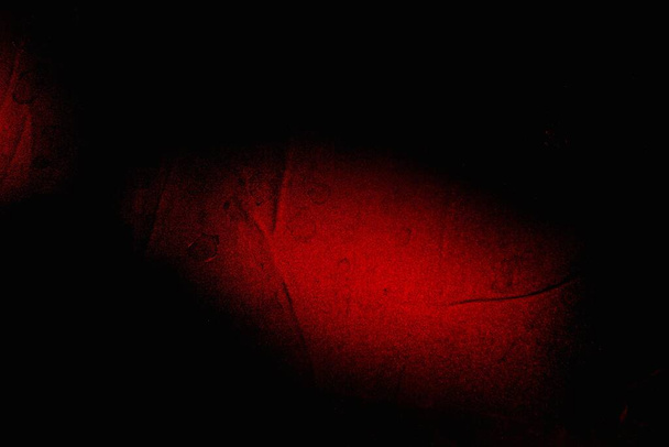 Abstraktní grunge pozadí. Monochromní textura. Černé a červené texturované pozadí - Fotografie, Obrázek