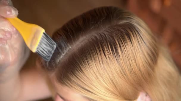 Peluquería aplicando tinte con un pequeño cepillo aplicador, a las raíces de un cliente pelo en la parte posterior de la cabeza en una peluquería, vista de cerca de sus manos enguantadas. - Metraje, vídeo