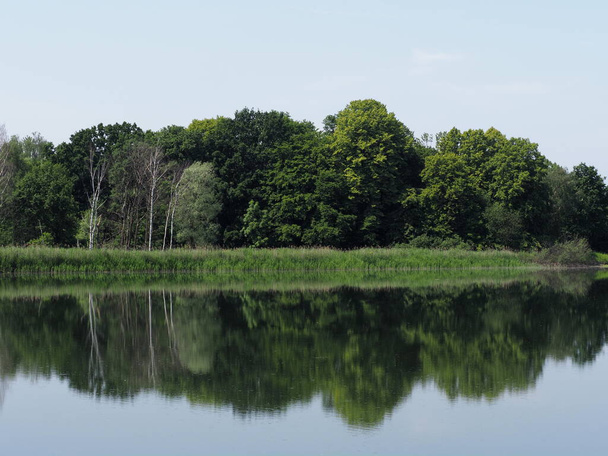 Τοπίο που αντανακλάται στα ύδατα της λίμνης αναπαραγωγής σε Goczalkowice, Πολωνία - Φωτογραφία, εικόνα