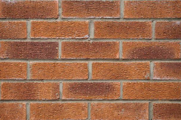 Brick wall texture - Foto, afbeelding