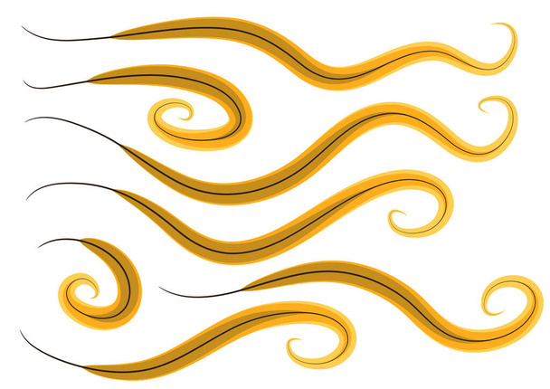 vector set of golden waves - Vektor, Bild