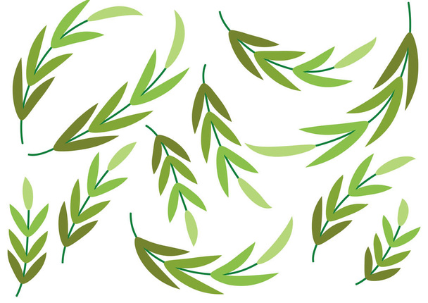 vector illustration of a green leaves - Vektor, obrázek
