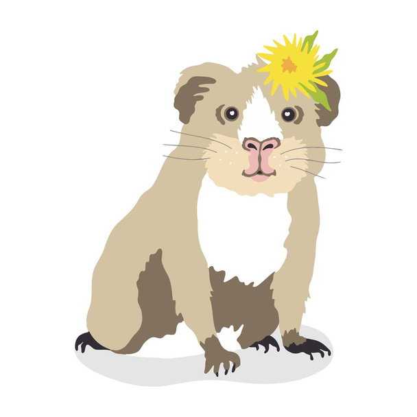 Ilustración vectorial de un conejillo de indias con una flor en la cabeza. Linda mascota casera, flor de diente de león aislado sobre fondo blanco. - Vector, imagen