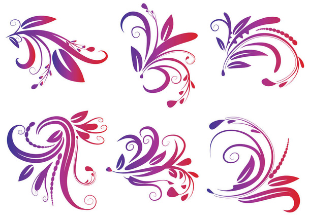 set of floral ornament on white background  - Vector, Image