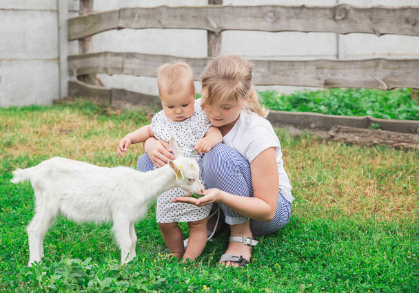 white-headed girl with her younger sister sitting near a small goat at the ranch - Foto, Imagen