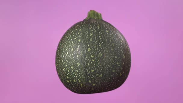 Vereinzelte Runde Zucchini auf violettem Hintergrund. Kreative rotierende Makroaufnahme von frischem und gesundem Gemüse - Filmmaterial, Video