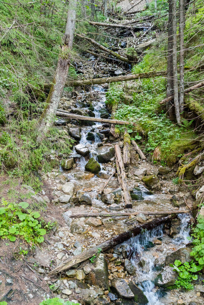 Cascade falls with fallen trees in Tatra National Park. - Fotografie, Obrázek