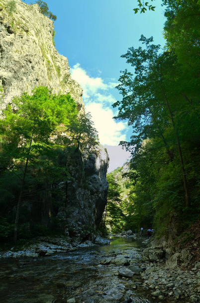 A beautiful shot of Ramet gorge in Romania - Photo, Image