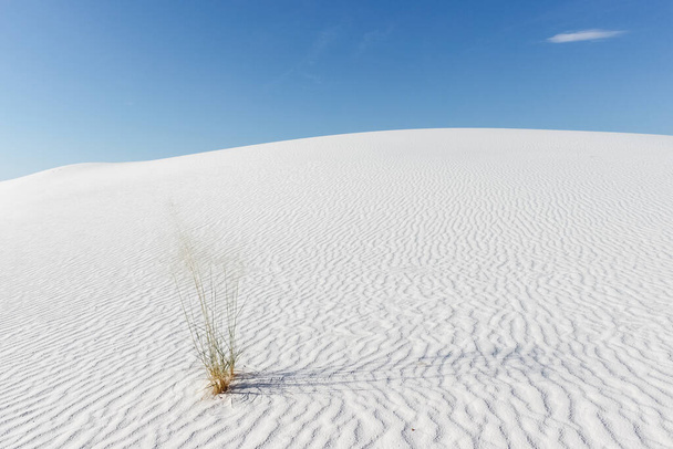 A beautiful shot of the White Sands National Park at daytime - Fotoğraf, Görsel