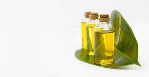 tres botellas con aceite natural sobre una hoja verde sobre un fondo blanco con un espacio para el texto - Foto, Imagen