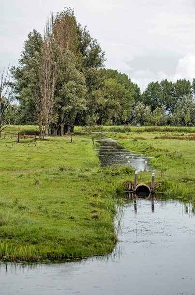 Paisaje de pólder agrícola nostálgico en Groenezoom área de naturaleza y recreación cerca de Berkel, Holanda, con prados herbosos, árboles y zanjas - Foto, Imagen
