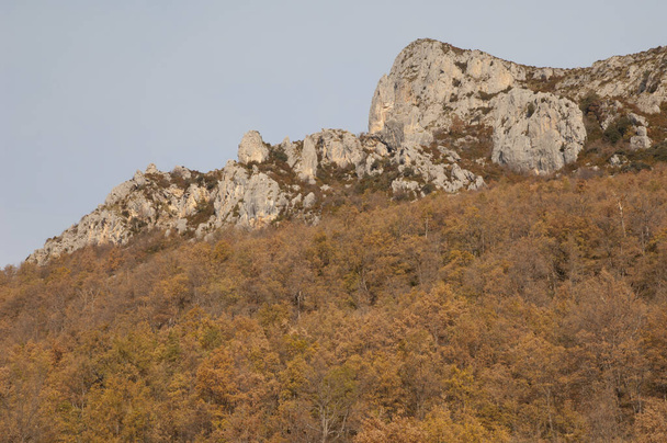 Клифф и лес в Пиренеях Уэски. - Фото, изображение
