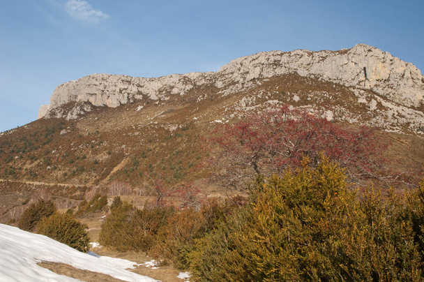 Klif en struiken in de Pyreneeën van Huesca. - Foto, afbeelding