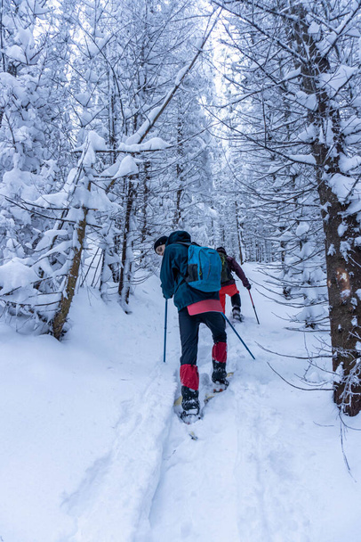 Mann läuft durch winterlichen Bergwald - Foto, Bild