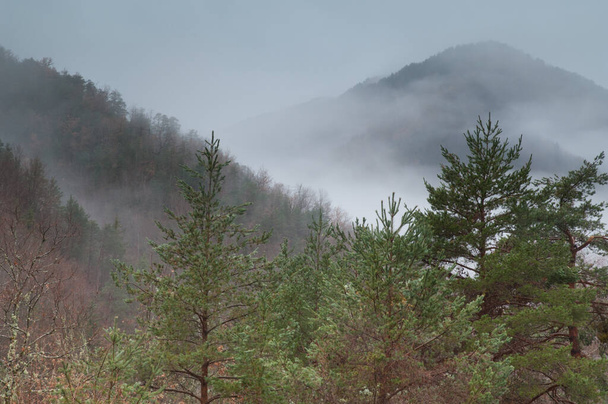 Горы и леса в долине Вио. - Фото, изображение