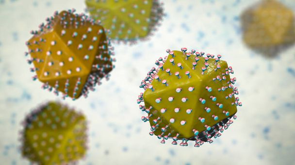 Αφρικανικός ιός της πανώλης των χοίρων, τρισδιάστατη απεικόνιση - Φωτογραφία, εικόνα