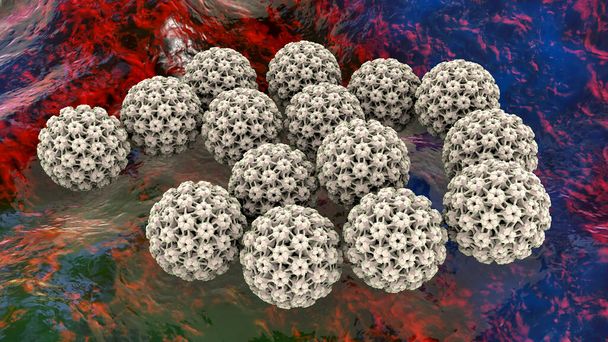 Menselijk papillomavirus, een virus dat wratten veroorzaakt, sommige stammen infecteren genitaliën en kunnen baarmoederhalskanker veroorzaken, 3D illustratie - Foto, afbeelding