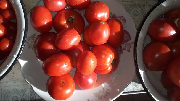 Diverse varietà di pomodori raccolti nel paese si trovano in un bacino - Foto, immagini