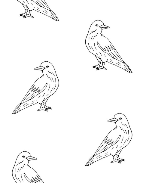 Vector seamless pattern of hand drawn raven - Vector, Image