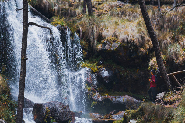 в маске, человек, смотрящий на водопад в Национальном парке Изта-Попо Зокиапан - Фото, изображение