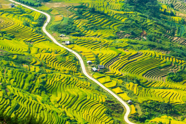 Laocai Vietnam Vietnam Paddy fields, terraced culture, Sapa, Vietnam - Photo, Image