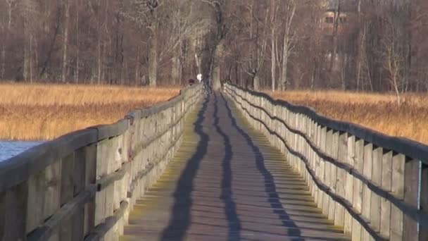 άδειο ξύλινη γέφυρα στη λίμνη του φθινοπώρου - Πλάνα, βίντεο