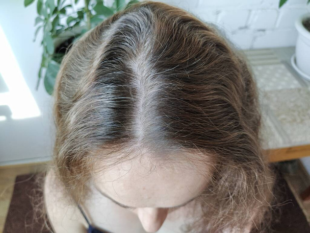 Gray hair on a woman's head close - Photo, Image