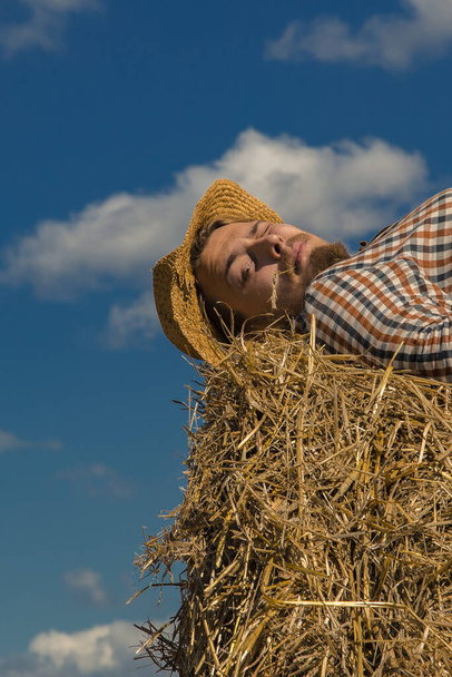 A young bearded man in cowboy hat with wheat roll - Фото, зображення