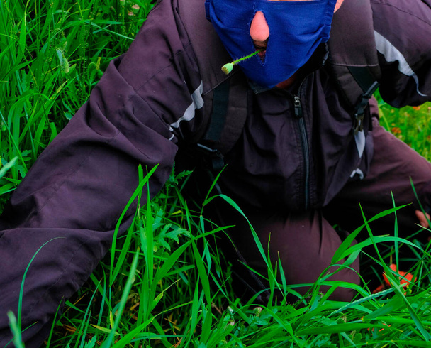 Een man met een masker met een gat onder een neus zit op het gras. De man heeft een groene doos papavers tussen zijn tanden. Vrije ademhaling. - Foto, afbeelding