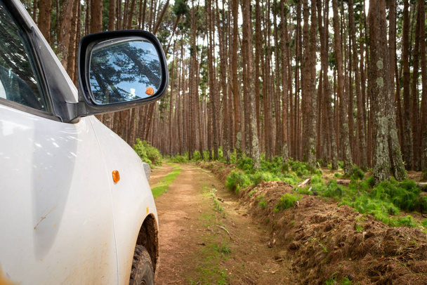 Widok z boku jeepa 4x4 lub ciężarówki na torze brudu, kierując się do lasu sosnowego. Przygoda i jazda terenowa - Zdjęcie, obraz