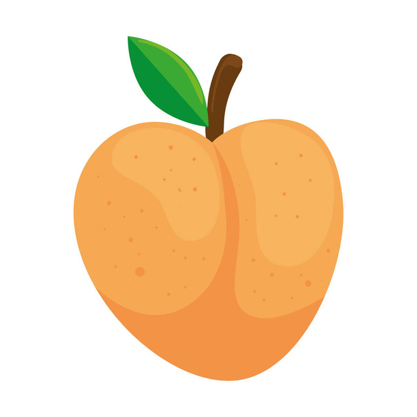 fresh peach fruit, in white background - Vector, Image
