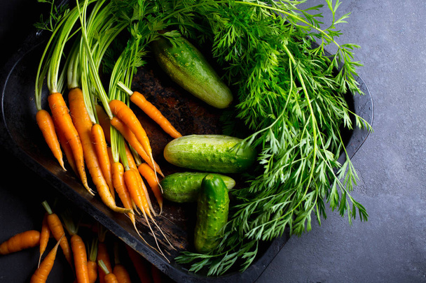 young carrots with cucumbers on a dark background, fresh vegetables from the garden - Foto, afbeelding