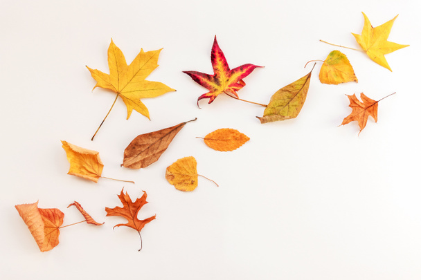 Autumnal Yellow leaves on white background, flat lay, copy space. - Photo, Image