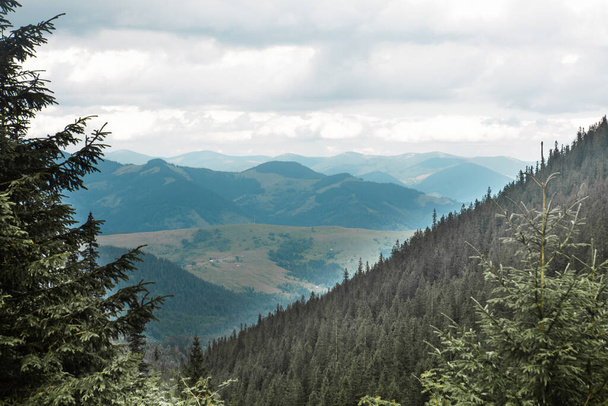 vue sur la chaîne de montagnes d'été. beau paysage. espace de copie - Photo, image