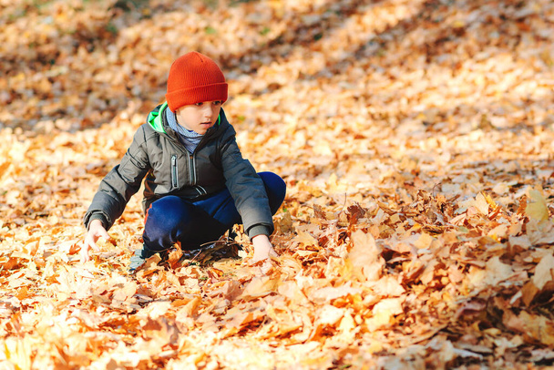 Happy child playing with autumn leaves in park. Autumn mood. Cute boy has a fun in autumn leaves. Happy and healthy childhood. Autumn sunny day. Boy throwing fallen maple leaves. - Photo, Image