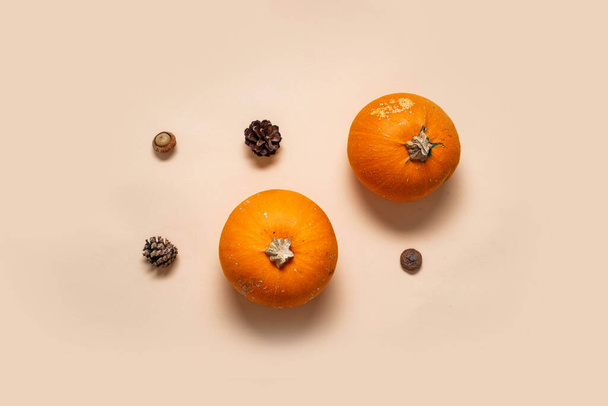 Top view of pumpkin and cones flat lay. orange color. Harvest or halloween concept - Foto, immagini