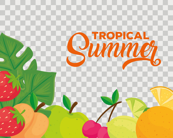 bandera tropical de verano, y frutas frescas - Vector, imagen