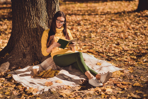 Full size photo of concentrated expert girl sit under tree fall lawn park checkered blanket read encyclopedia book wear knitted sweater pullover - Photo, Image