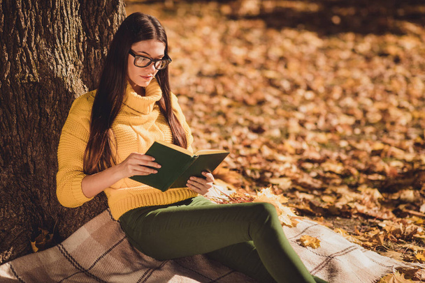 Photo of focused girl high school college student in campus sit under tree checkered blanket autumn park lawn read textbook prepare exam wear yellow sweater jumper - Foto, afbeelding