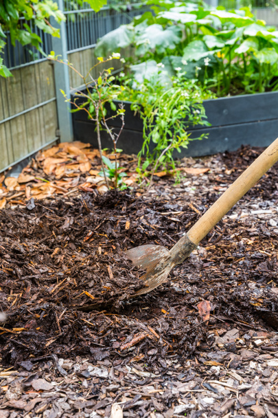 Mulchen van de grond met schors mulch. Tuinconcept - bescherming tegen onkruid. - Foto, afbeelding