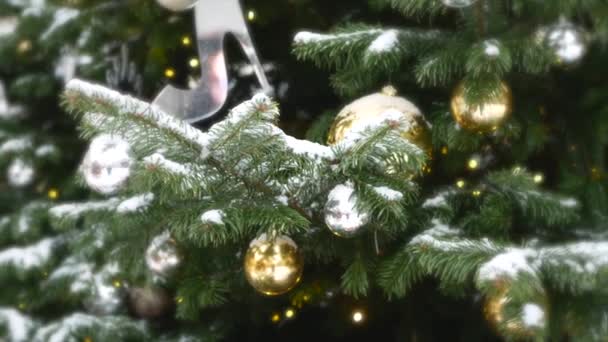 Σπρους κλαδιά με χιόνι σε αυτό και τα παιχνίδια των Χριστουγέννων στην Πρωτοχρονιά - Πλάνα, βίντεο