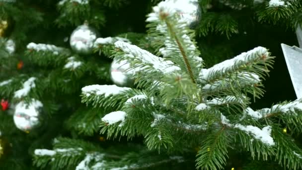 Smrkové větve se sněhem a vánoční hračky v novém roce - Záběry, video