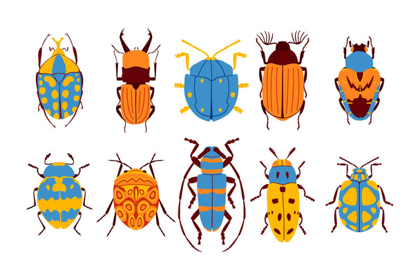 Flat beetles collection. Isolated on white background.  - Vector, Image